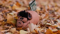 MAGA Savings Accounts promise a tax-free savings revolution for all Americans