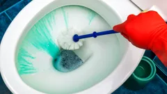 Transform Your Toilet: The Surprising Hack to Banish Brown Stains for Good