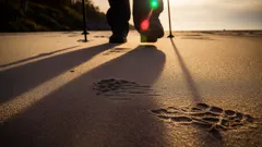 Discover the Swedish 5-2-4 Walking Method That Transforms Daily Walks