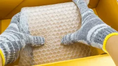 Bubble Wrap Hacks: The Secret Weapon Transforming American Gardens