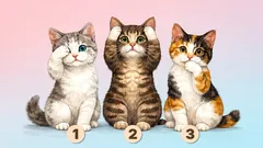 Psychology Test: Choose a Kitten and Find Out What Your Self-Esteem Is Hiding