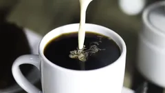 How smart coffee timing turns a cup into a mental advantage