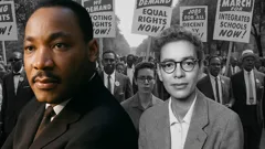 Remarkable Insights Into the American Civil Rights Movement