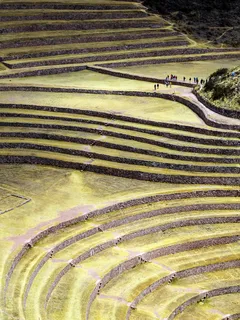 Aerial view of diverse landscape with fields and greenery