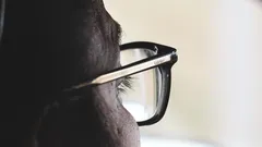 Close-up of horse wearing glasses, focused on face and eyewear